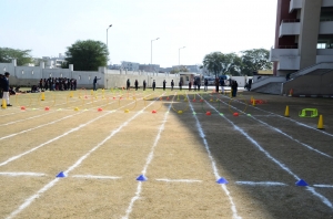 Sports Day 7