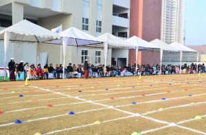 Sports Day 15